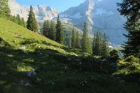 2015-07-01_2Drijaggenalm (118).JPG